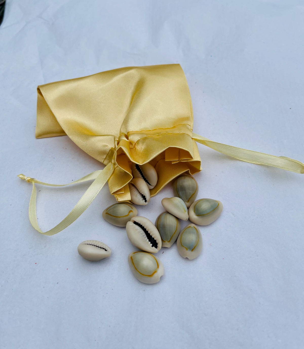 Ritual Cowrie Shells for Prosperity & Orisha Practice
