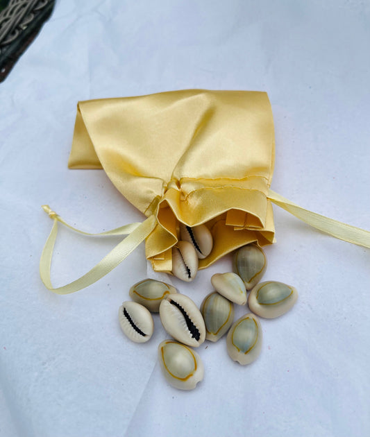 Ritual Cowrie Shells for Prosperity & Orisha Practice